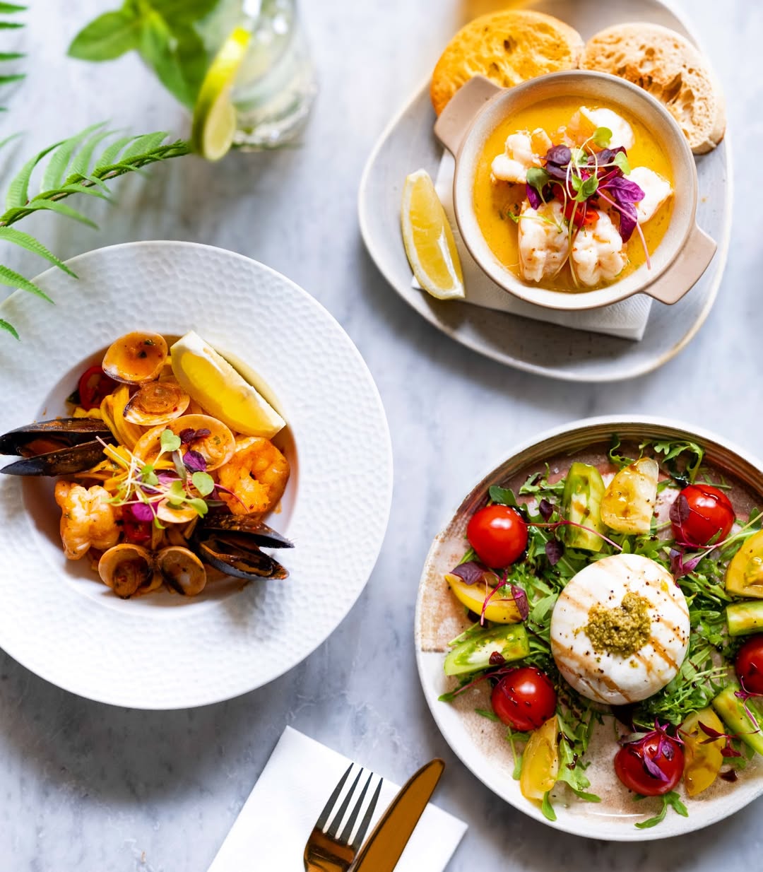 Seafood, burrata and colourful Italian dishes prepared at Italiano Vero